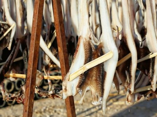 Croquettes de morue IG BAS- al'origin.fr