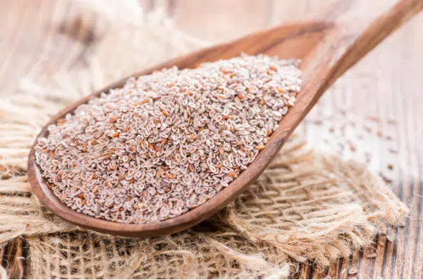 Psyllium et santé intestinale