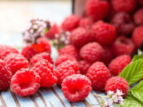 Framboises 100% issus de fruits