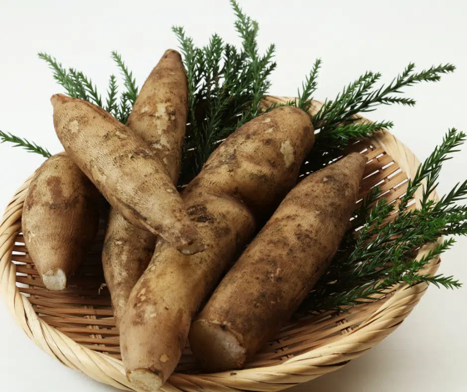 Pâte à tarte crue au sirop de yacon