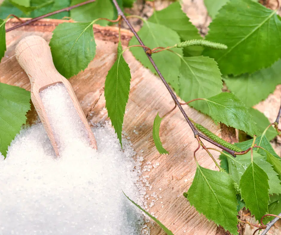 Cuisiner avec des édulcorants naturels