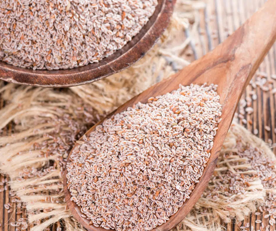 8 recettes avec du Psyllium