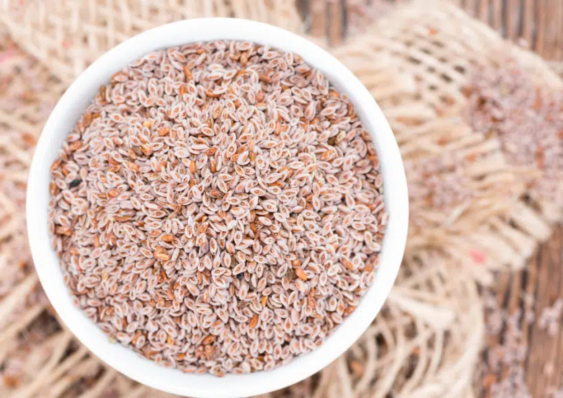 8 recettes avec du Psyllium