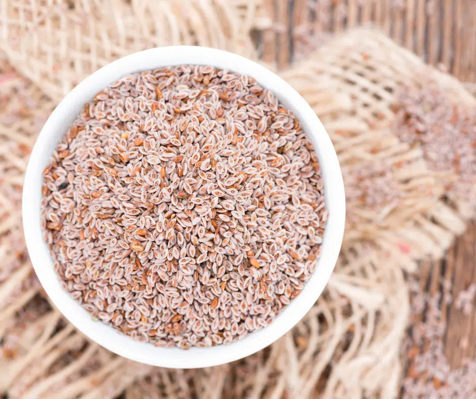 8 recettes avec du Psyllium