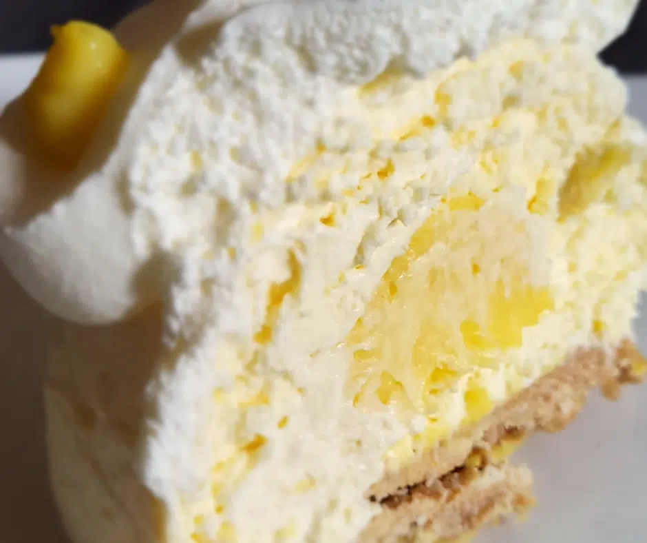 Bûche au Citron Meringuée IG Bas