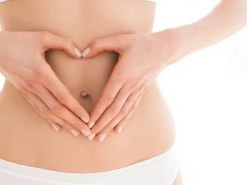 4 Pains au Psyllium à Faible Indice Glycémique digestion
