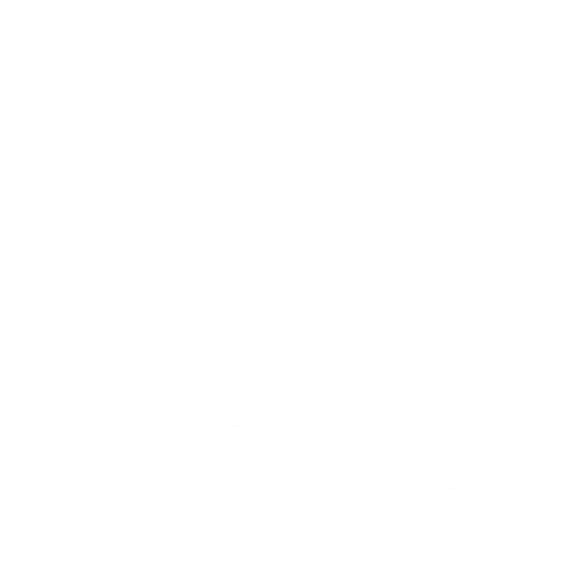 pizza 1
