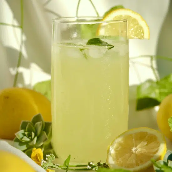 Sirop de Citron Bio Sans Sucre – IG bas